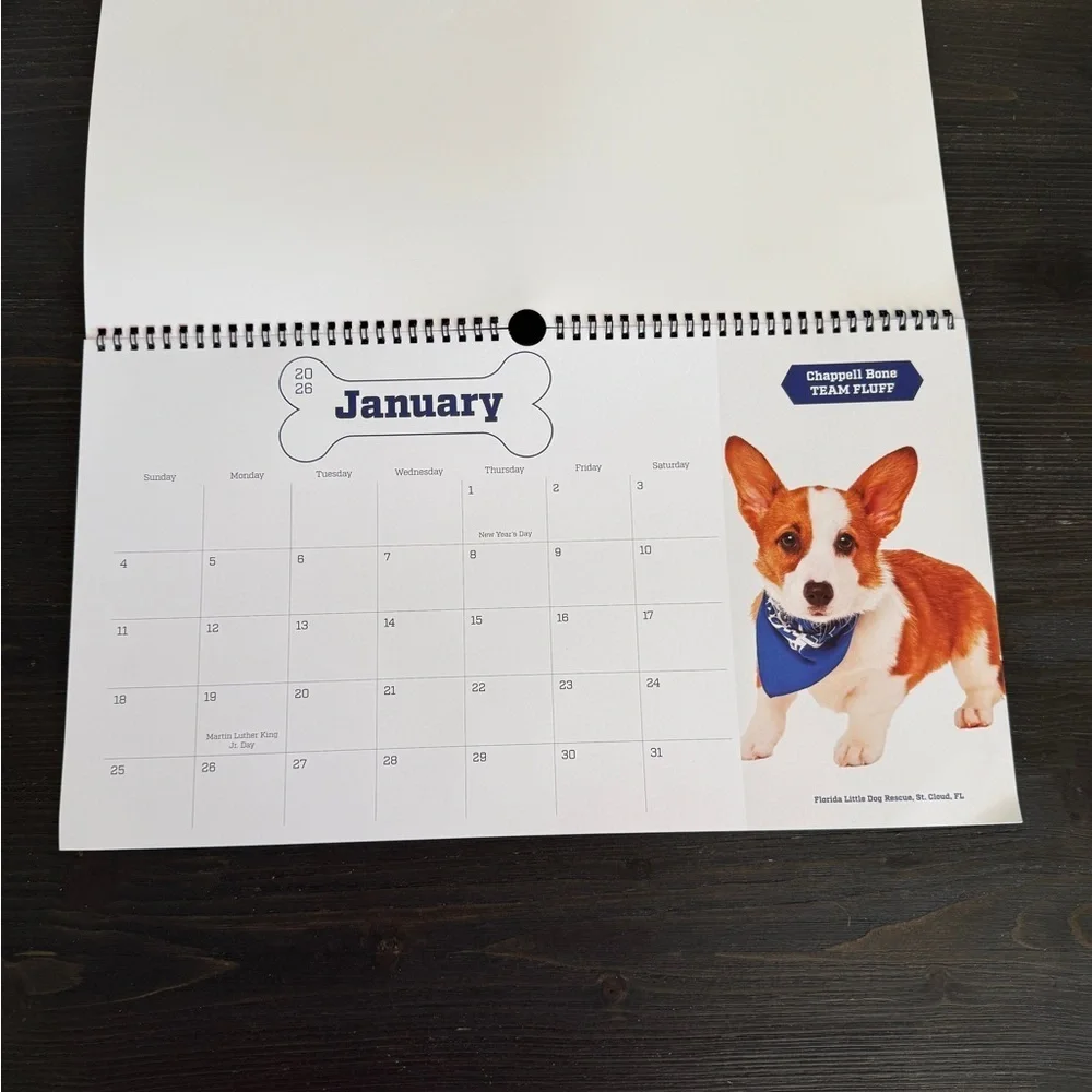 Puppy Bowl XXII Calendar